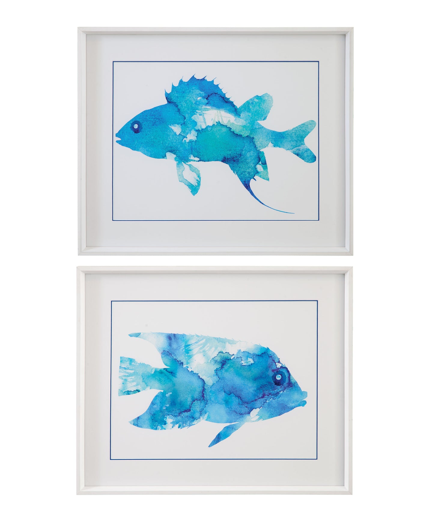 Watercolor Fish I Framed Print - Blue / White
