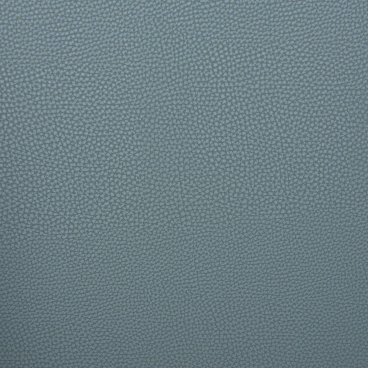 Poise - Dining Chair - Blue