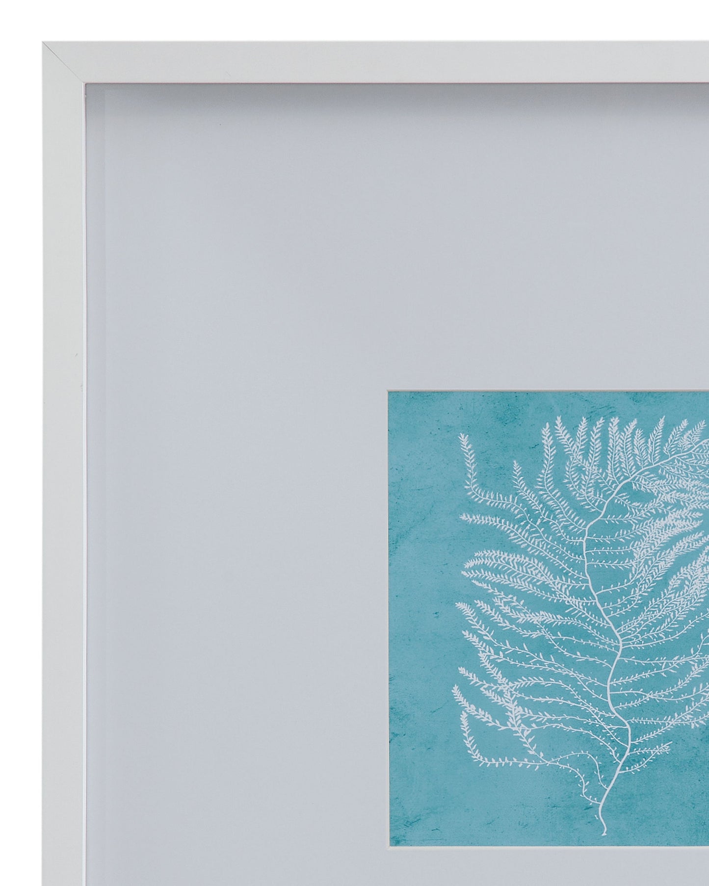 White Coral On Blue III Framed Print - Blue / White