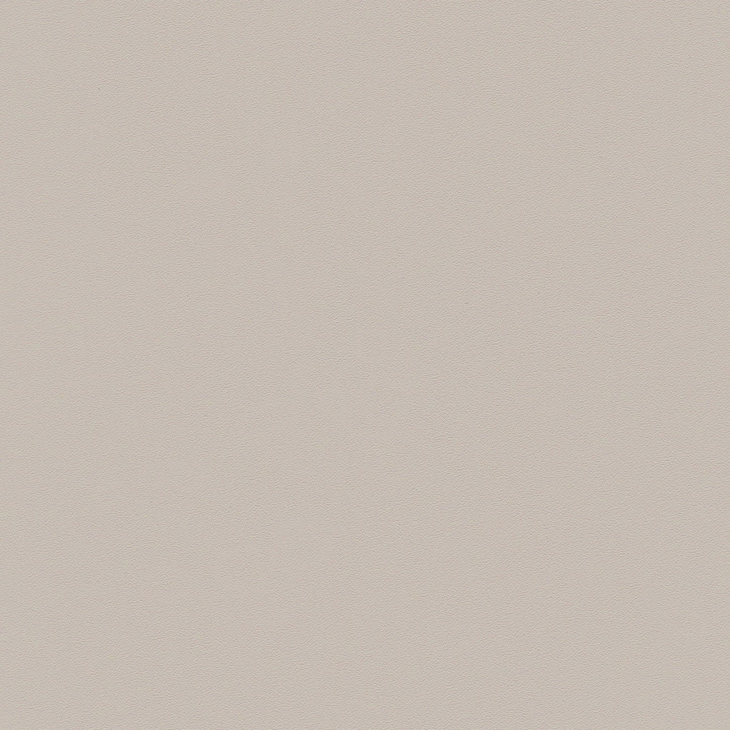 Zeal - Dining Chair (Set of 4) - Light Gray