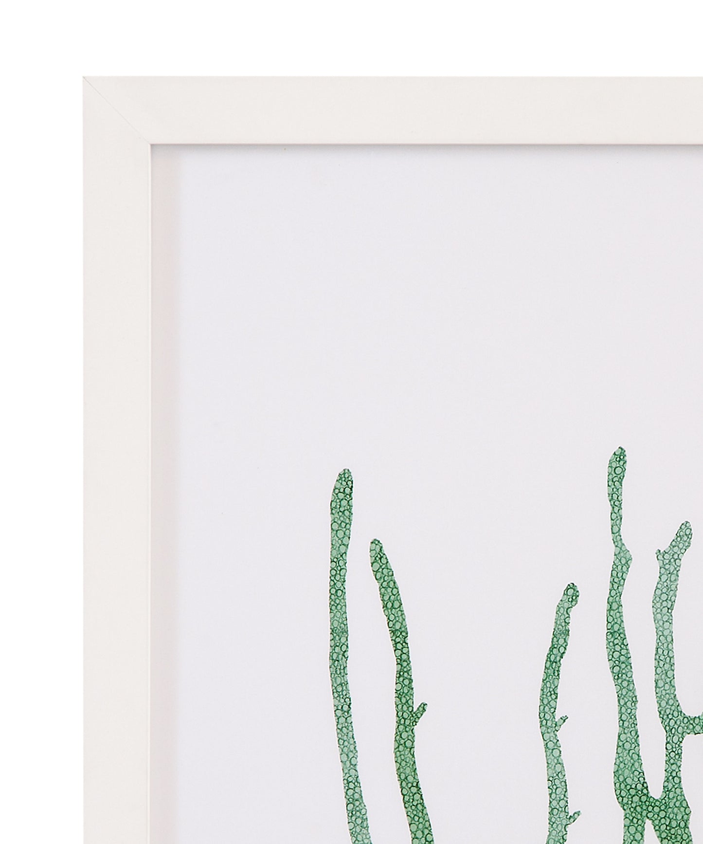 Coral Souvenirs II Framed Print - Green