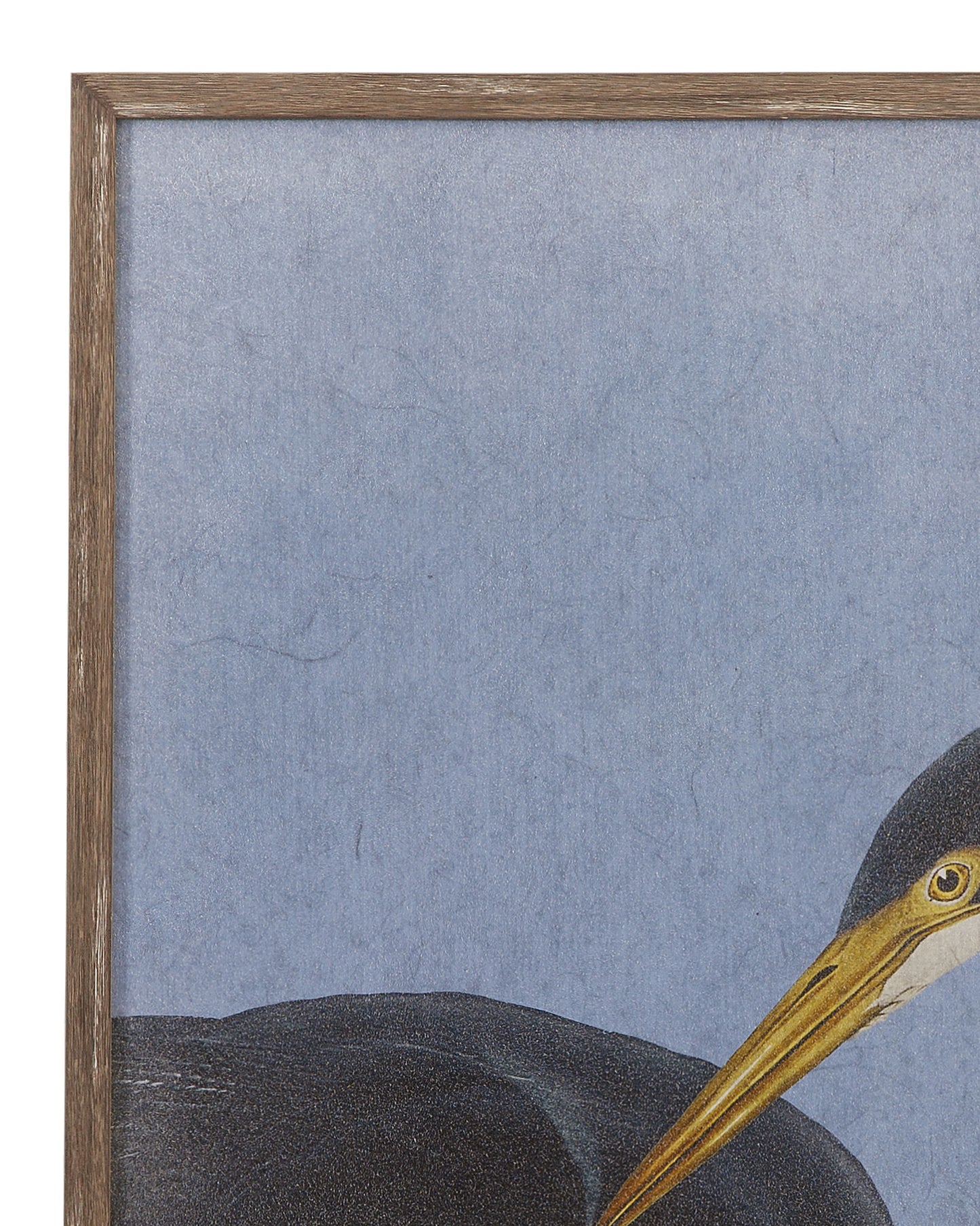 Bayou Heron Framed Print (Set of 2) - Blue