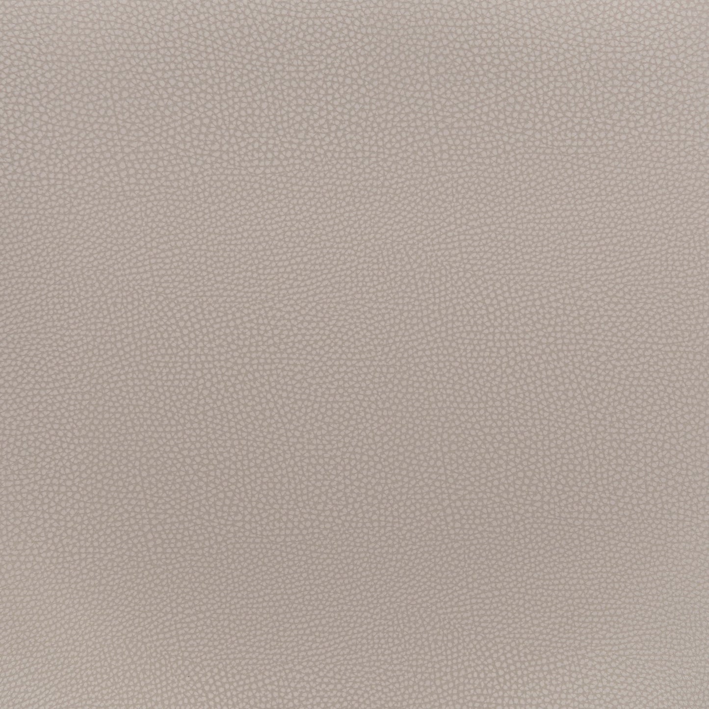 Desi - Dining Chair (Set of 2) - Beige & Gold