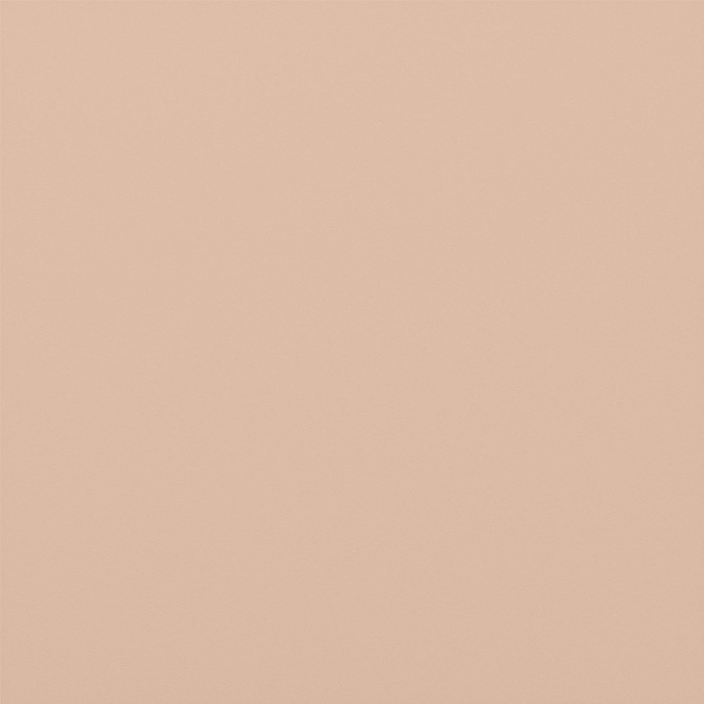 Island - Dining Chair (Set of 2) - White