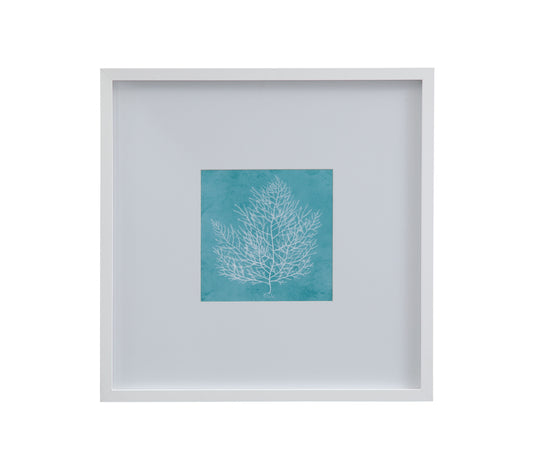 White Coral On Blue I Framed Print - Blue / White