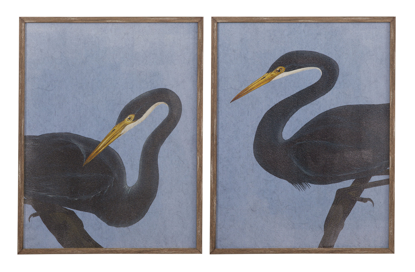 Bayou Heron II Framed Print - Blue