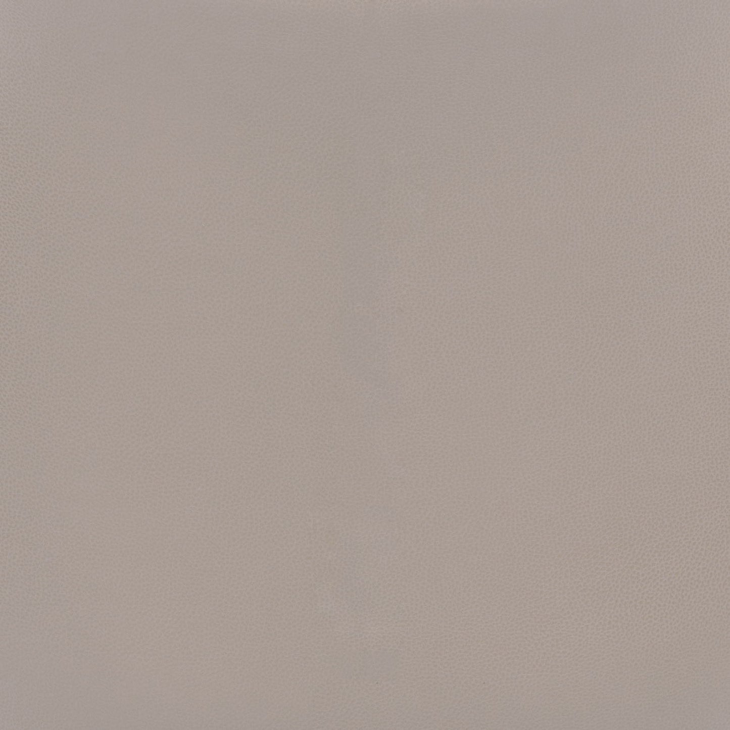 Magnus - Chair (Set of 2)