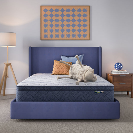 Perfect Day - 12" Serta Plush Pillow Top Mattress in a Box