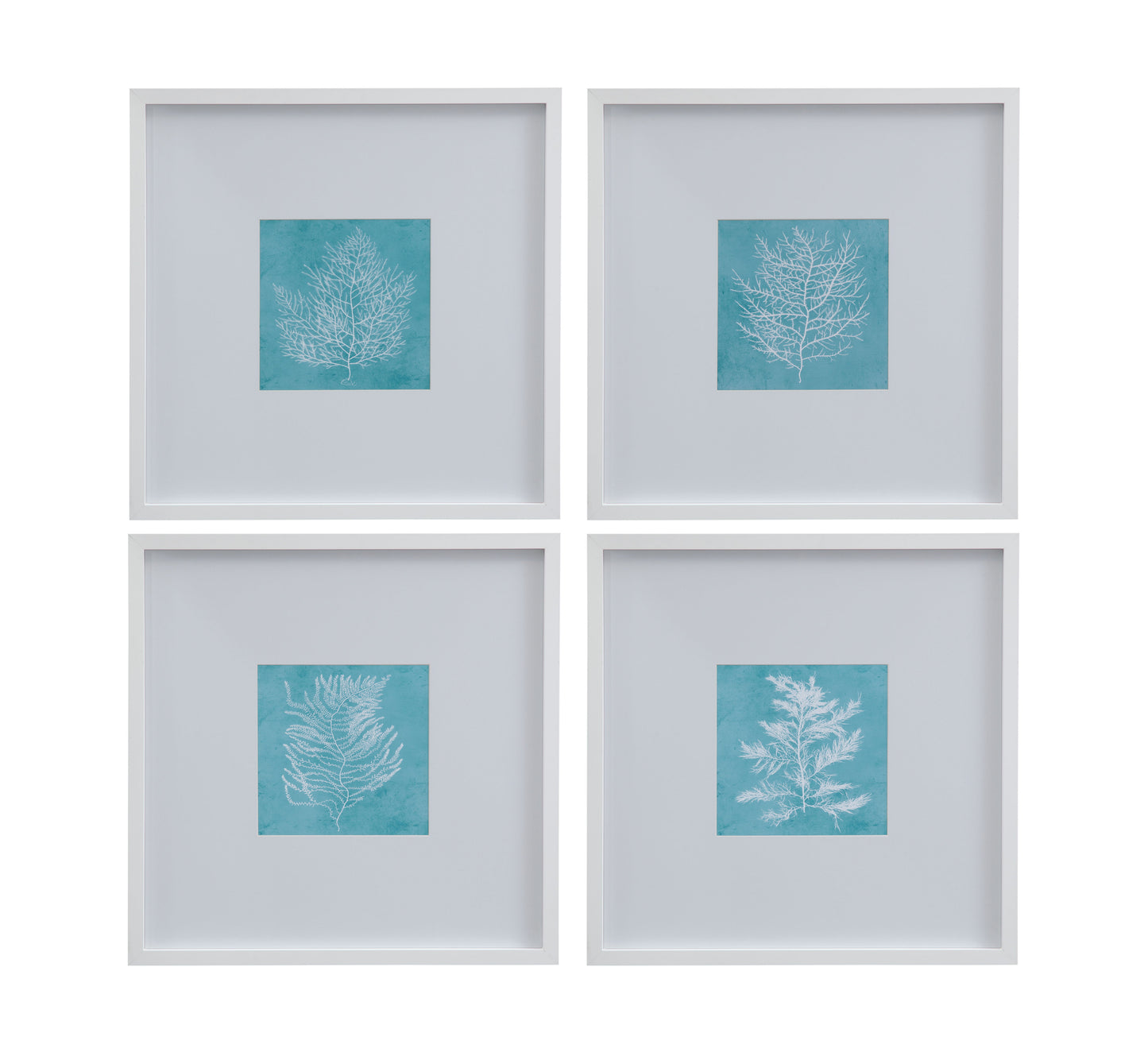 White Coral On Blue III Framed Print - Blue / White