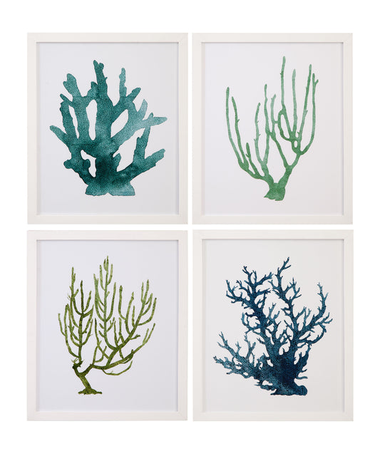 Coral Souvenirs Framed Print (Set of 4) - Green / Blue