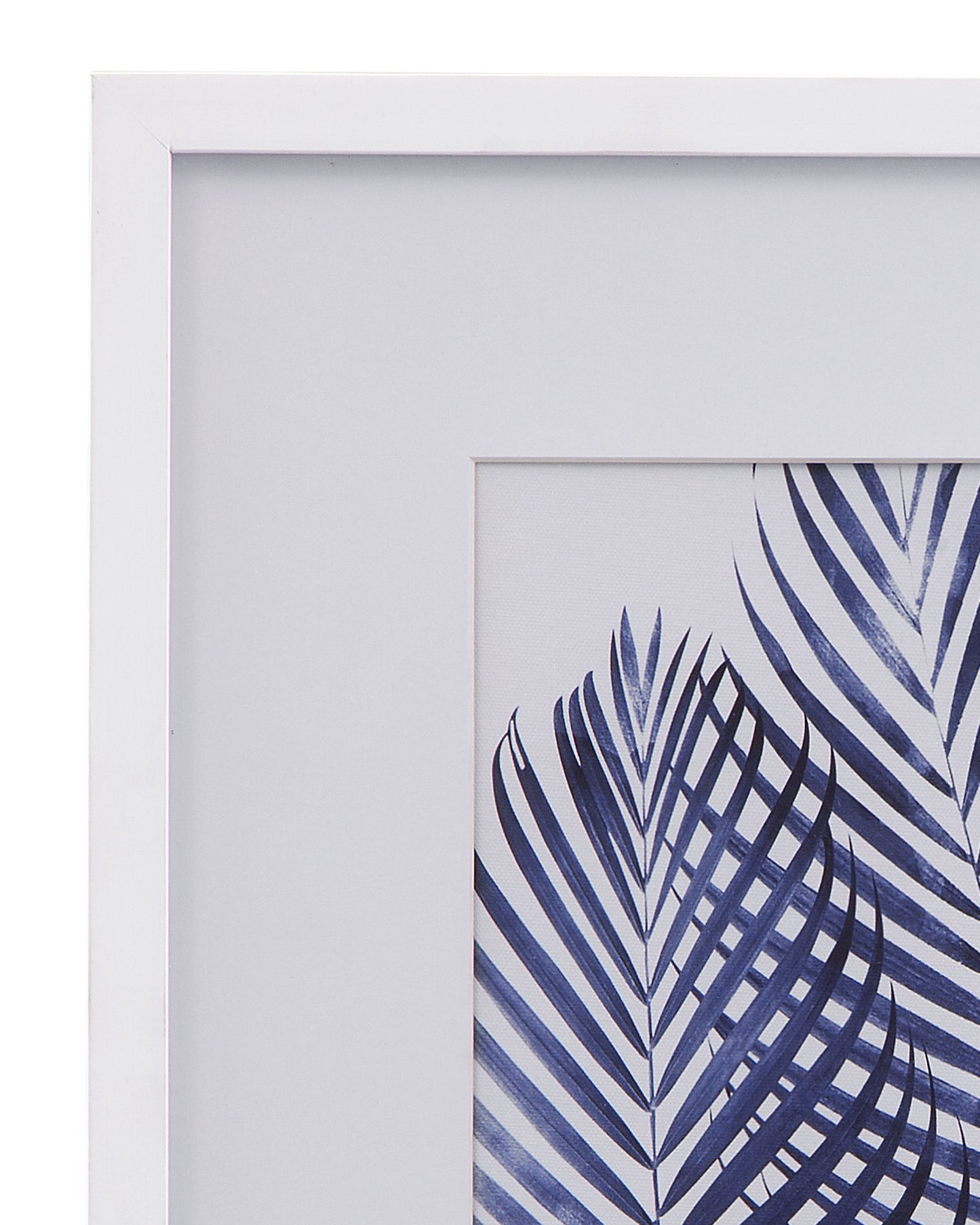 Leaves Canvas Art (Set of 2) - White