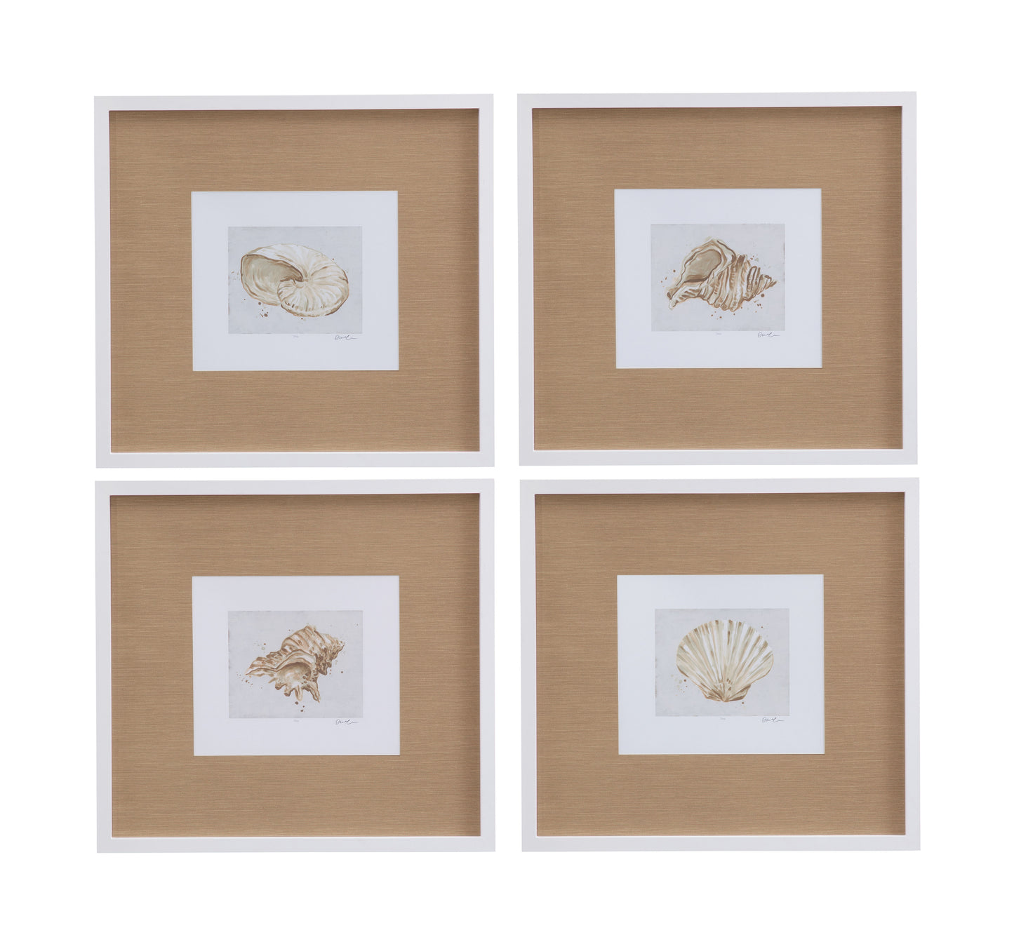 Neutral Shell Fresco III Framed Print - Light Brown / White