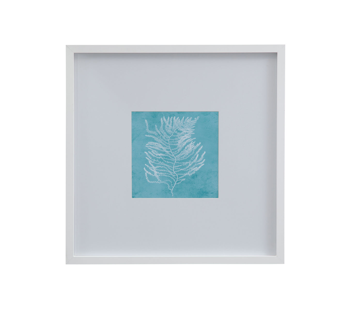 White Coral On Blue III Framed Print - Blue / White