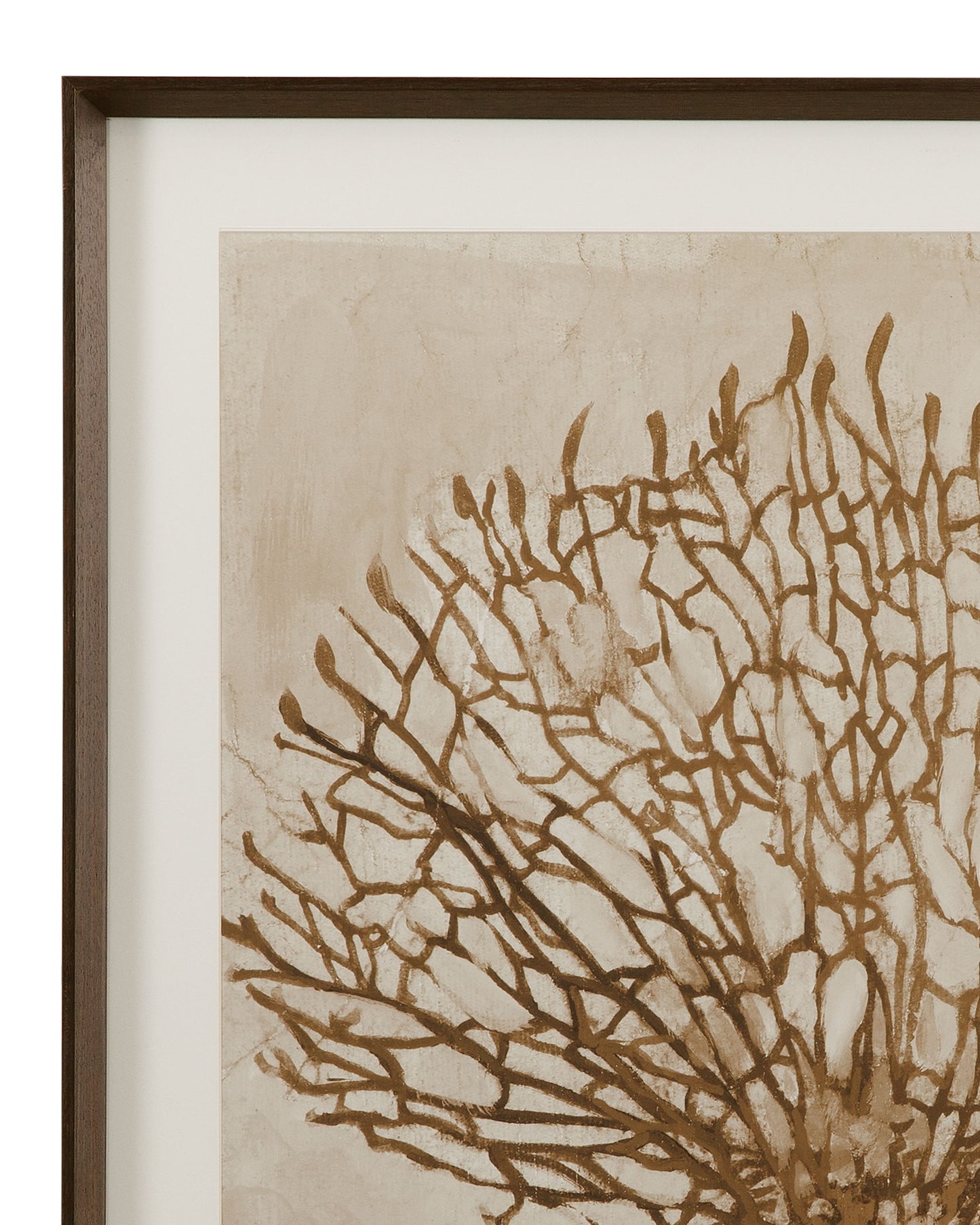 Neutral Seafan Framed Print - Light Brown