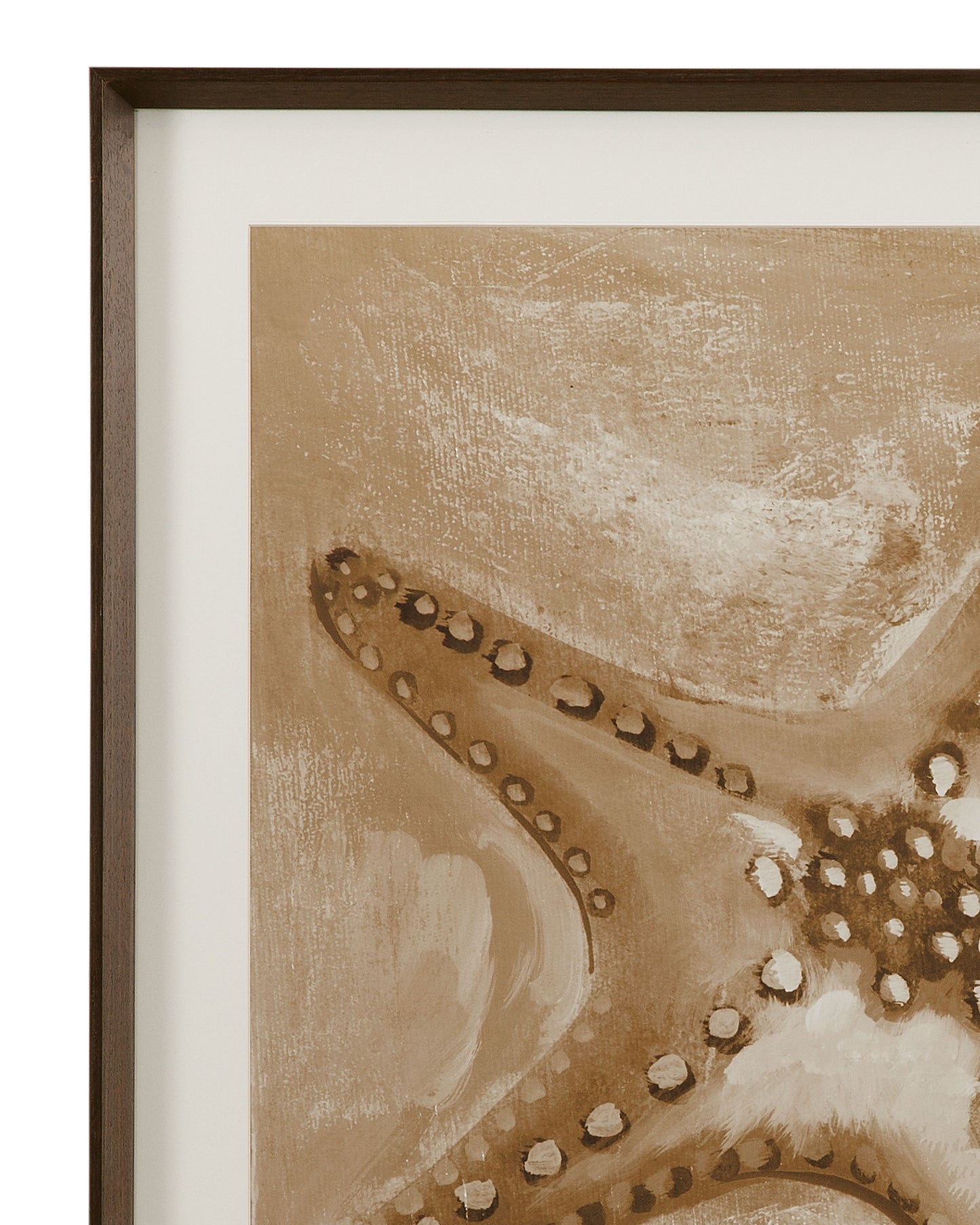 Neutral Starfish Framed Print - Light Brown