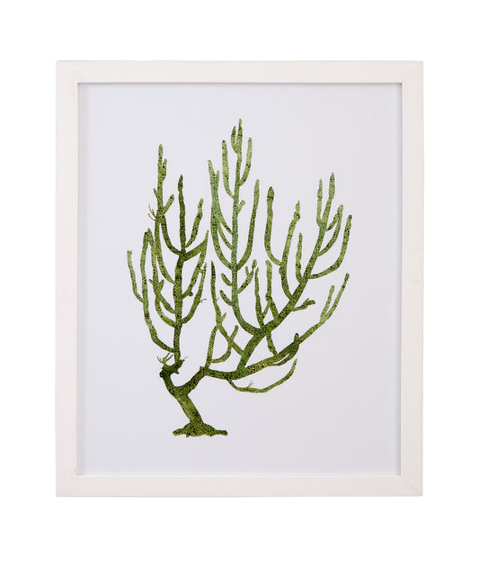 Coral Souvenirs III Framed Print - Green