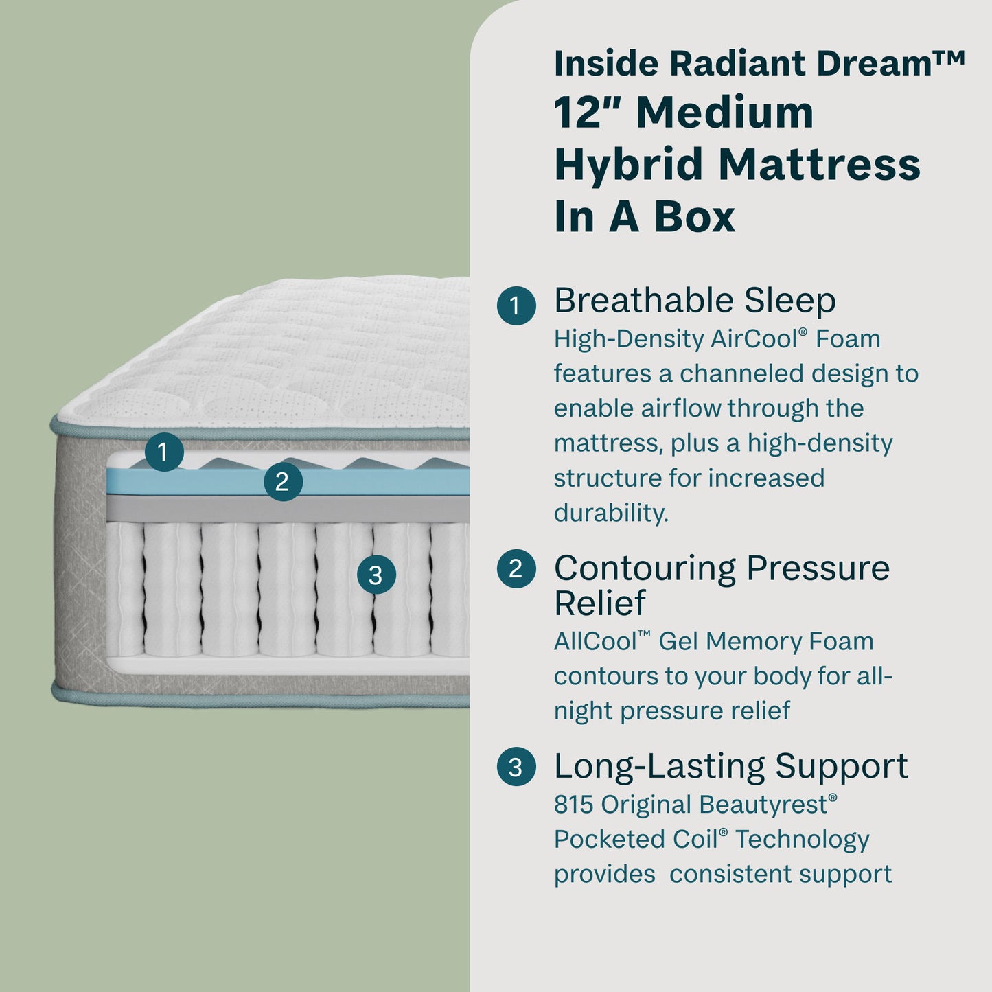 Radiant Dream - 12" Hybrid Medium Mattress in a Box