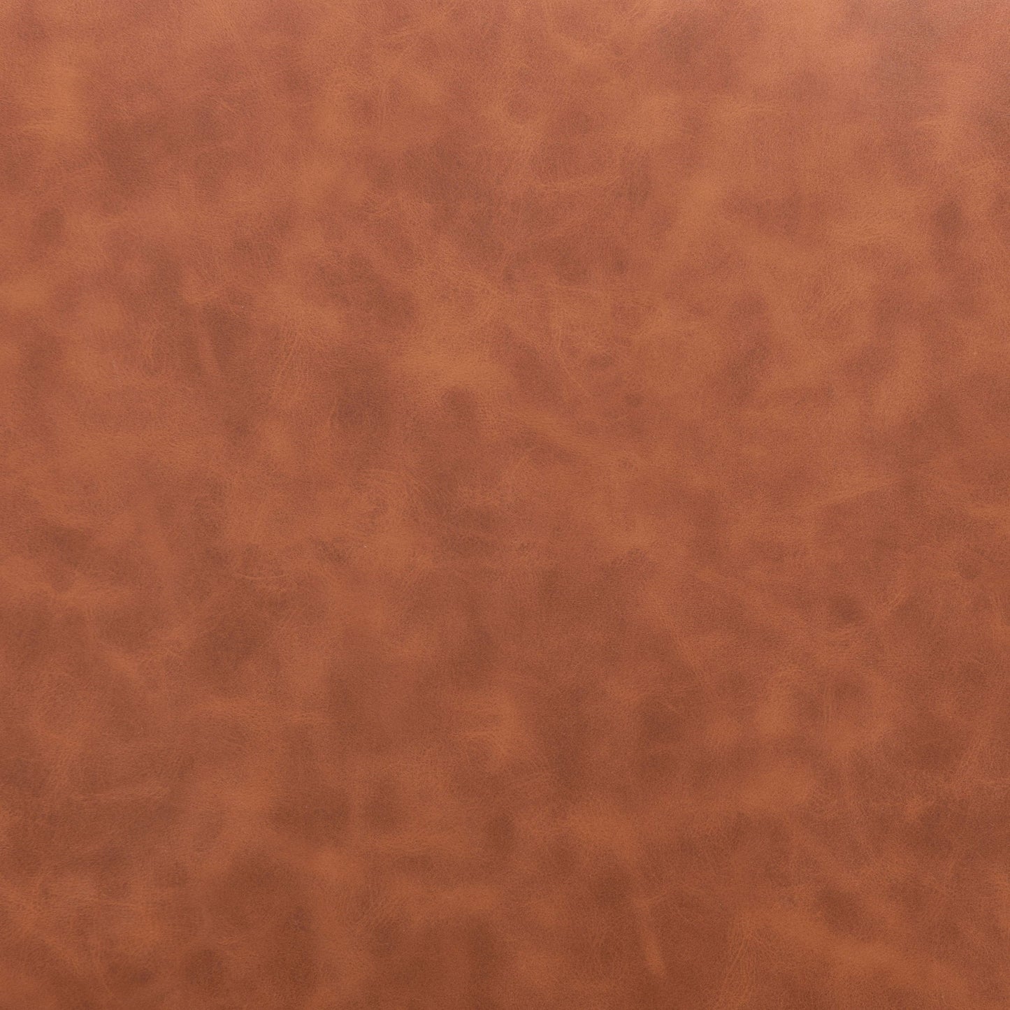 Daniel - Dining Chair (Set of 2)