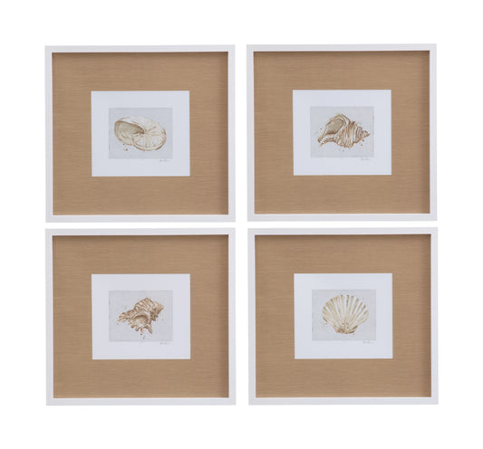 Neutral Shell Fresco Framed Print (Set of 4) - Light Brown / White