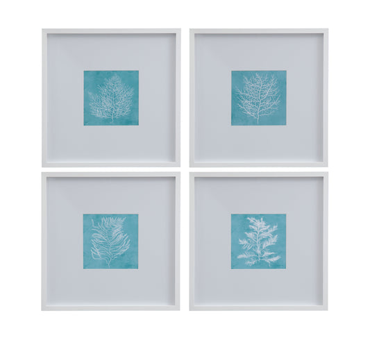 White Coral On Blue Framed Print (Set of 4) - Blue / White