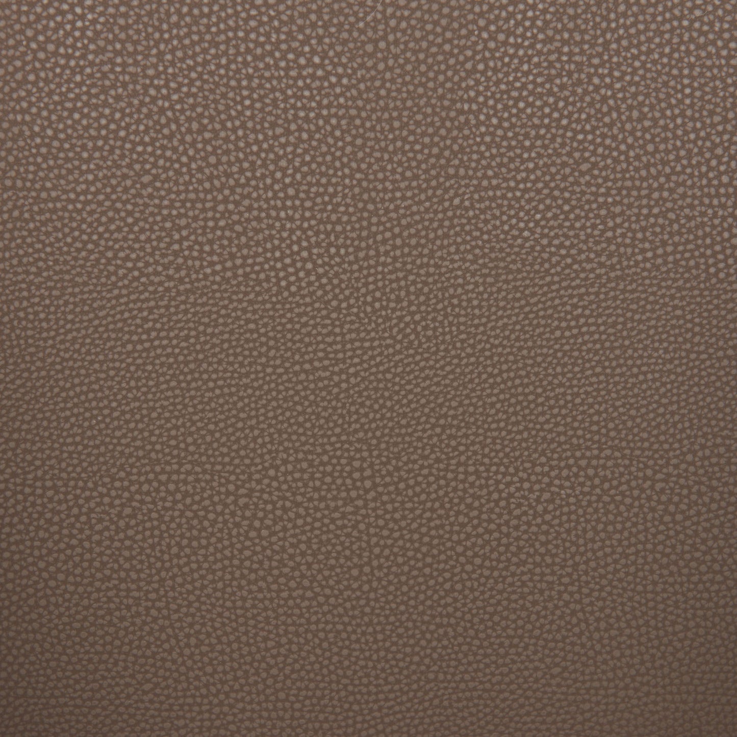 Brew - Dining Chair - Brown