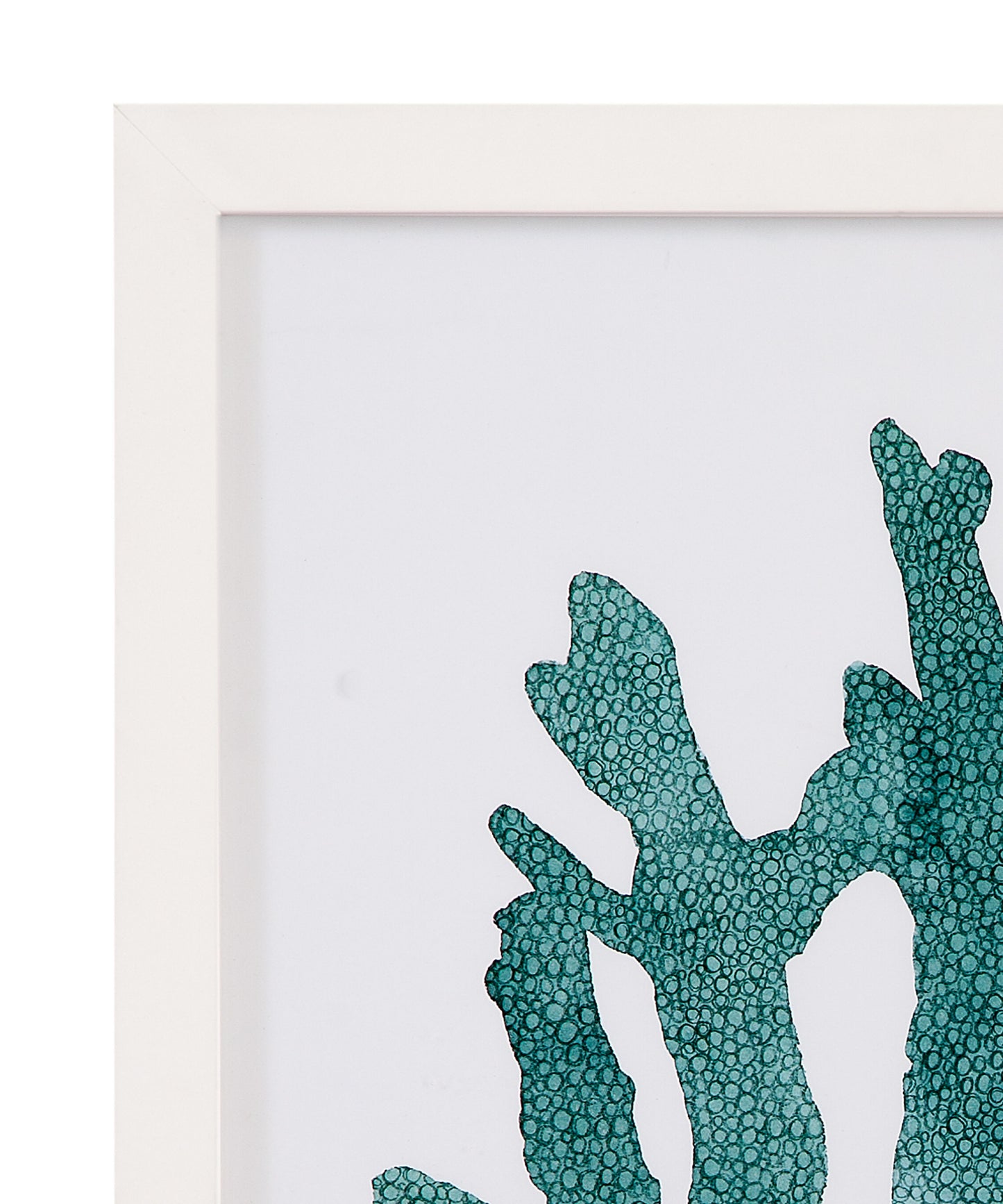 Coral Souvenirs Framed Print (Set of 4) - Green / Blue