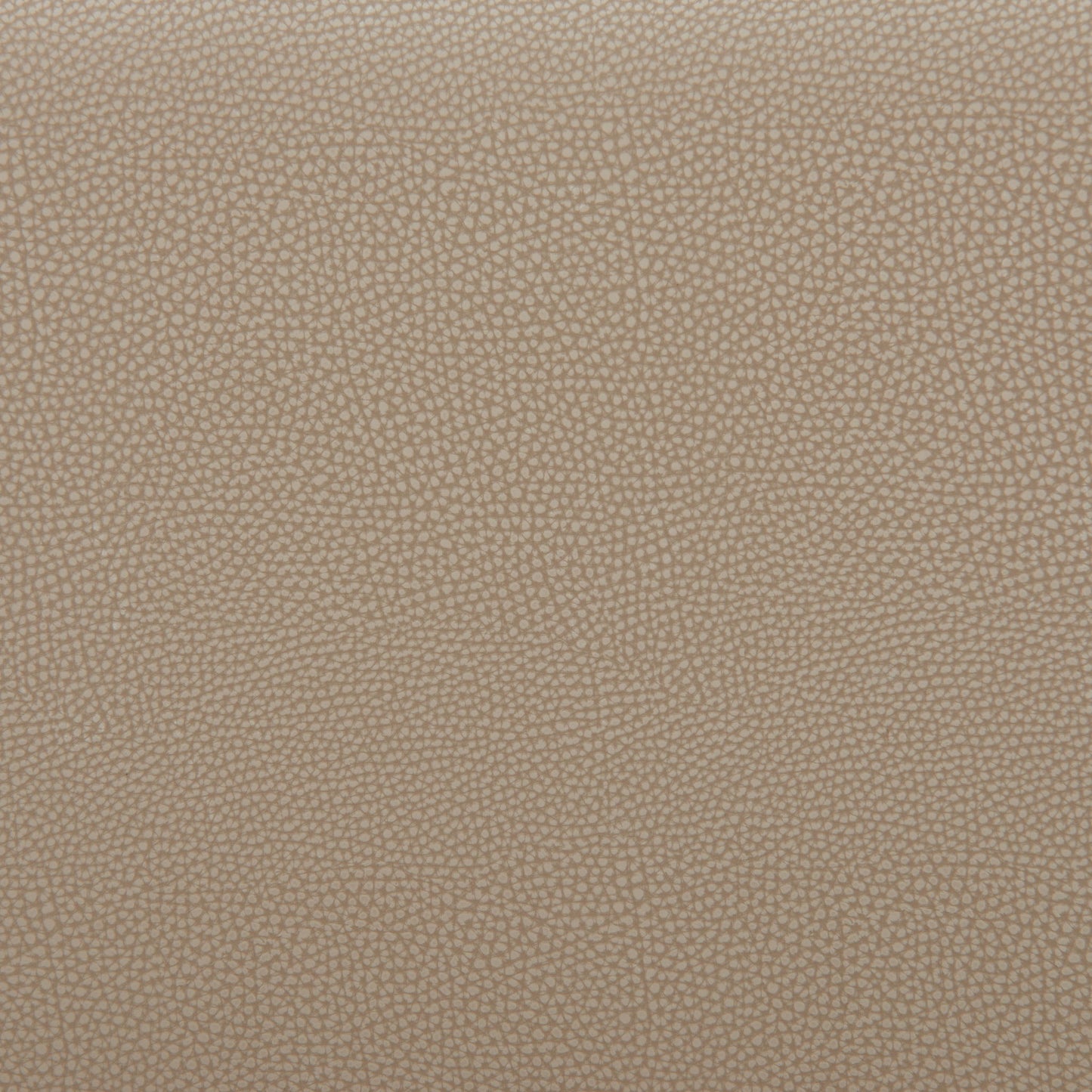 Divat - Barstool (Set of 2)