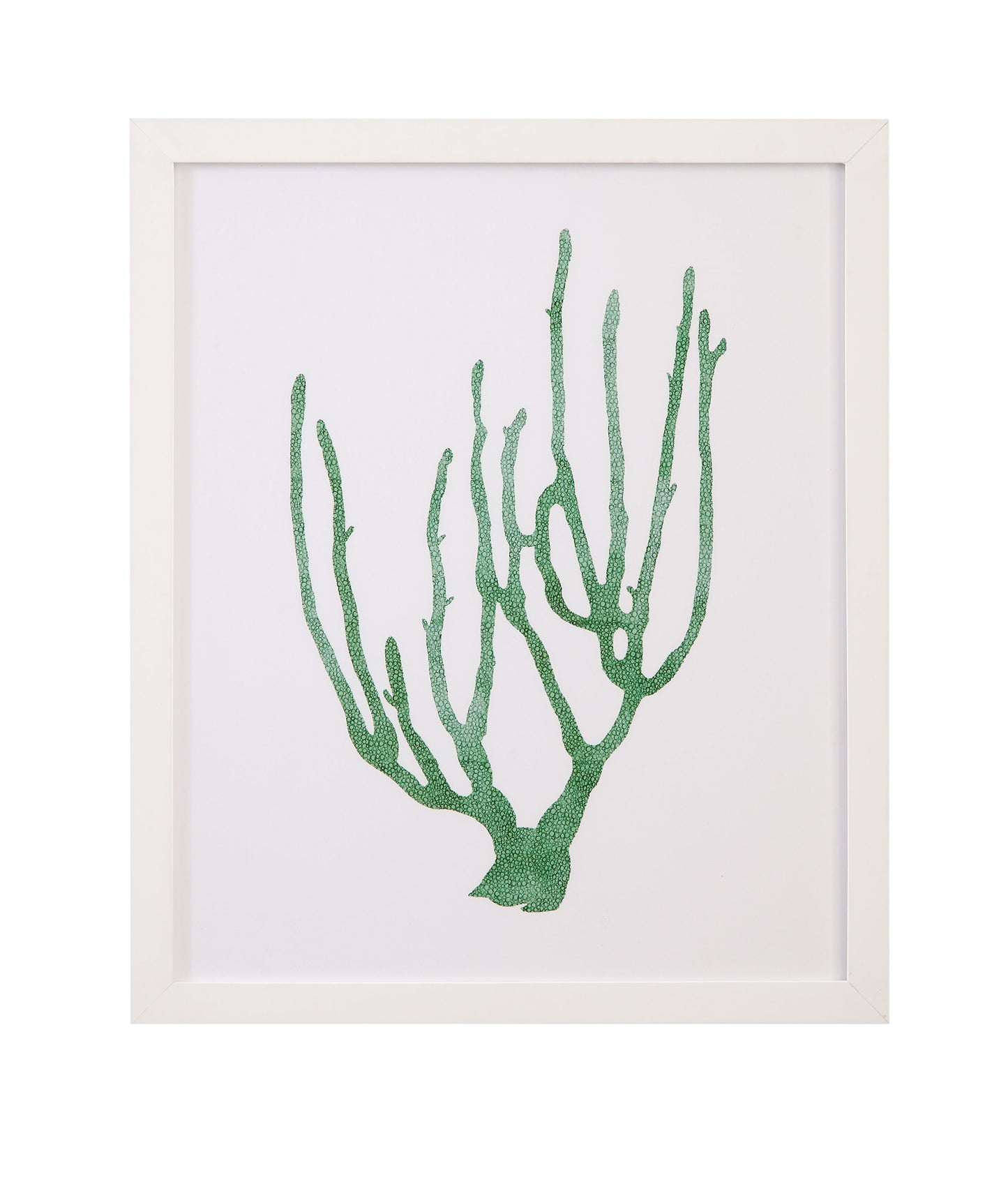 Coral Souvenirs II Framed Print - Green
