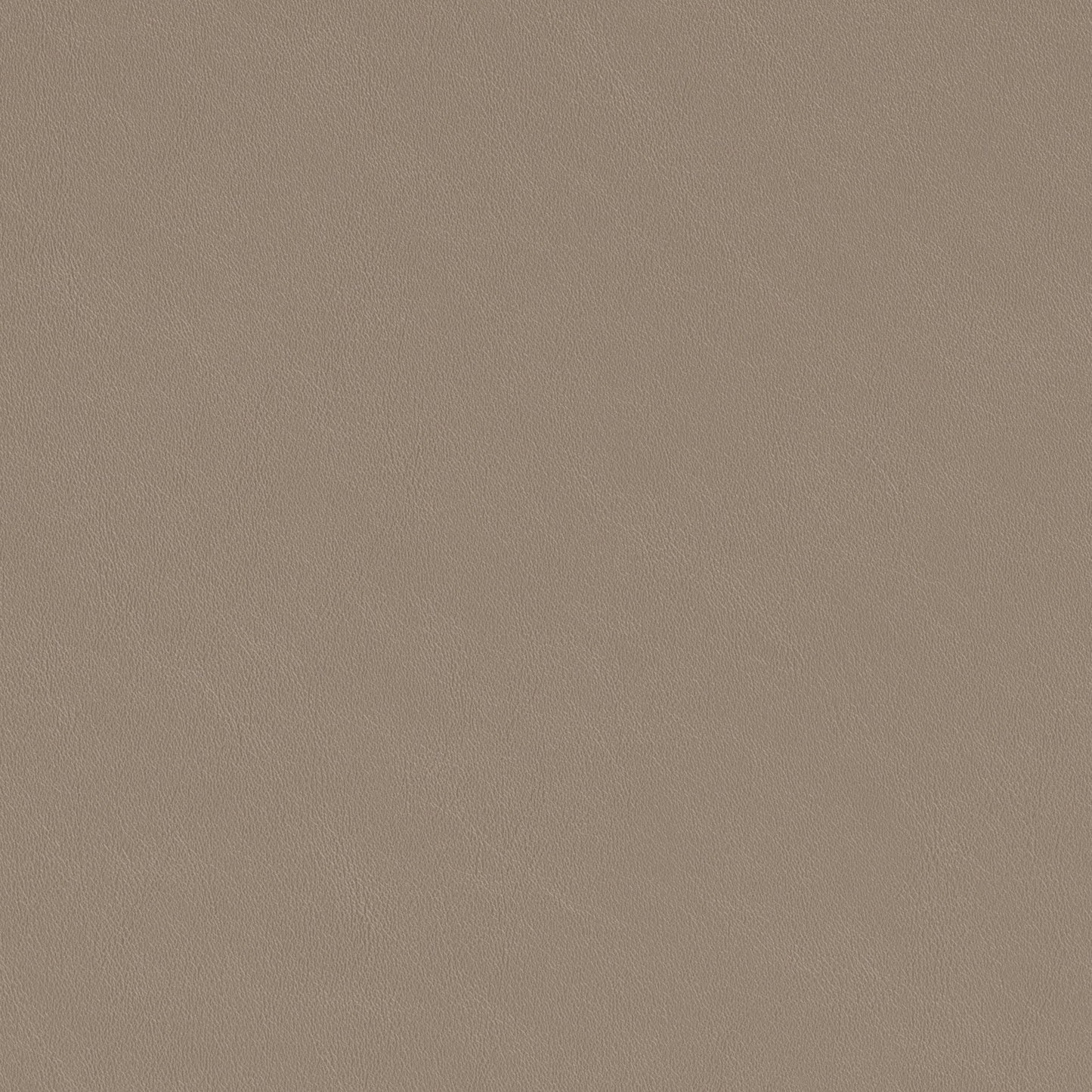 Ruge - Dining Chair (Set of 2) - Beige