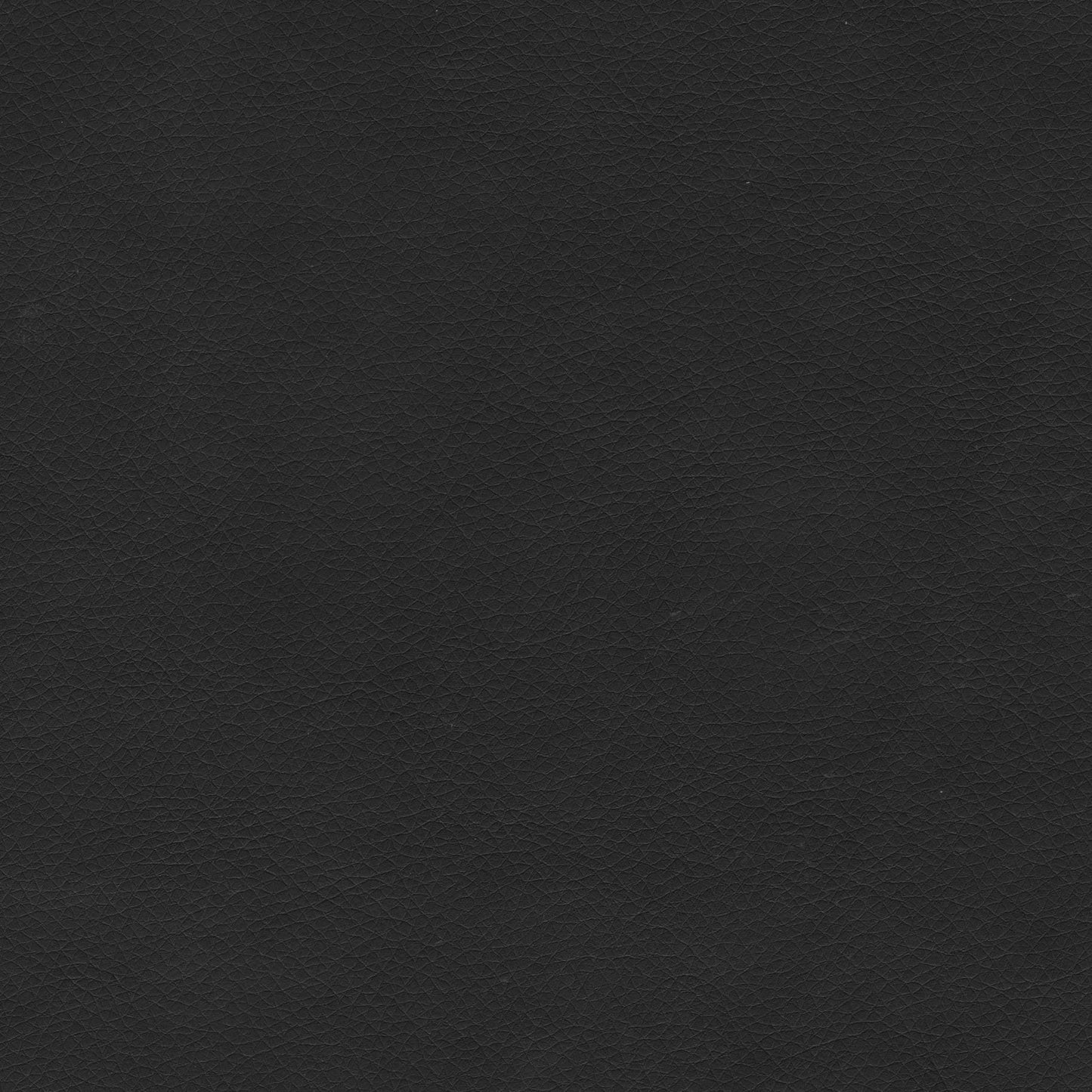 Magnus - Dining Chair (Set of 2) - Black