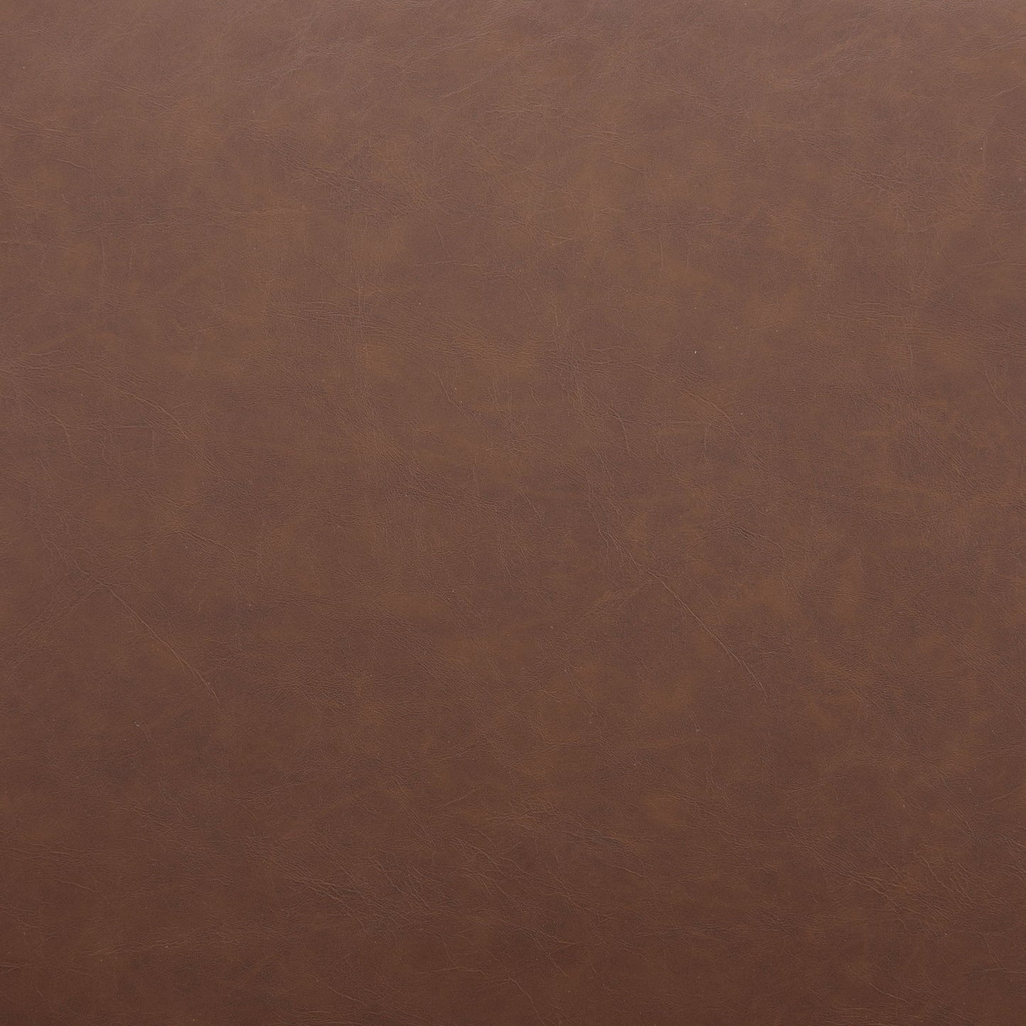 Pola - Dining Chair (Set of 2)