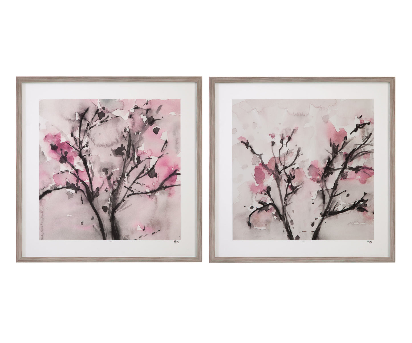 The Blossoms Framed Print (Set of 2) - Pink