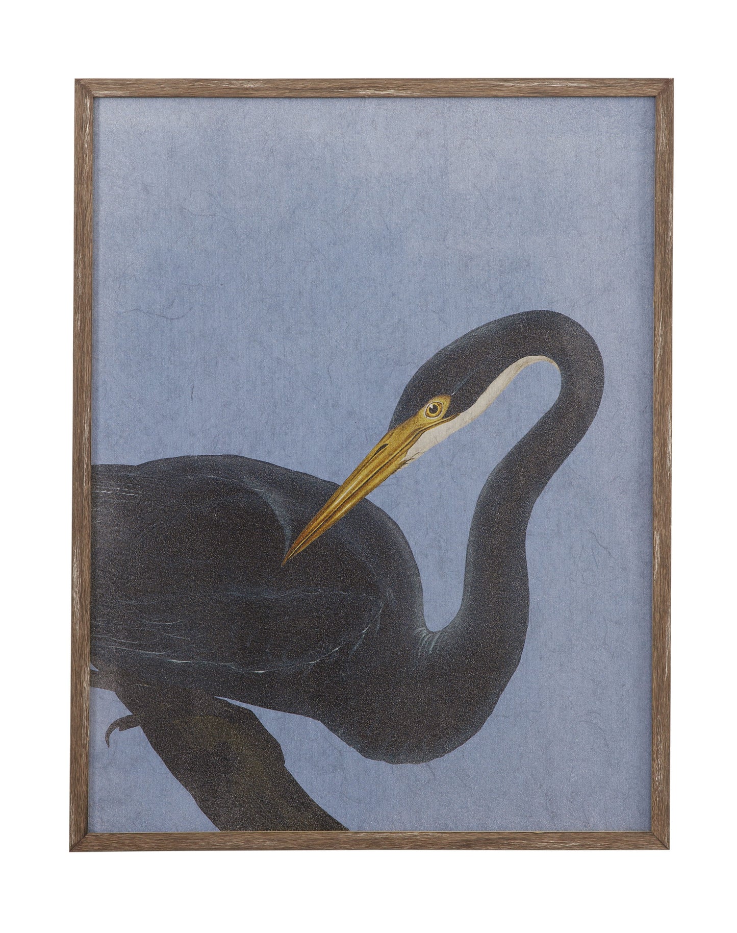 Bayou Heron I Framed Print - Blue