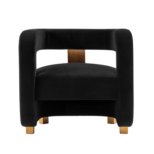 Modern Amirah Velvet  Accent Chair in Black